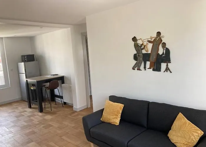 Superbe Appartement F2 Refait A Neuf Plein Centre